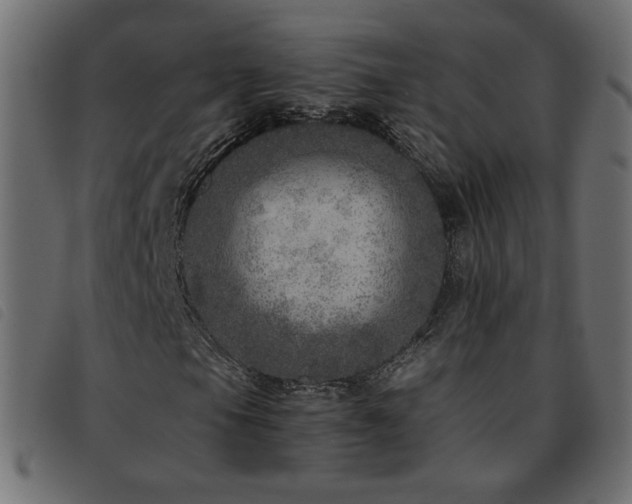 X0000093771105200710161236