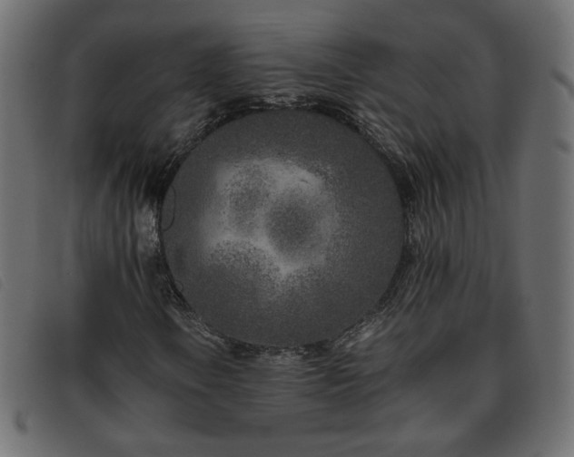X0000093771106200710161236