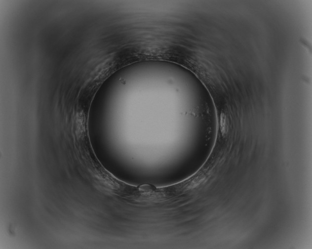 X0000093771107200710161236