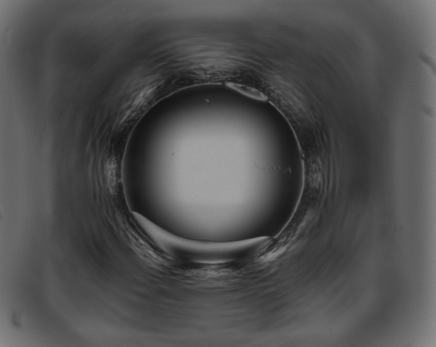 X0000093771108200710161236
