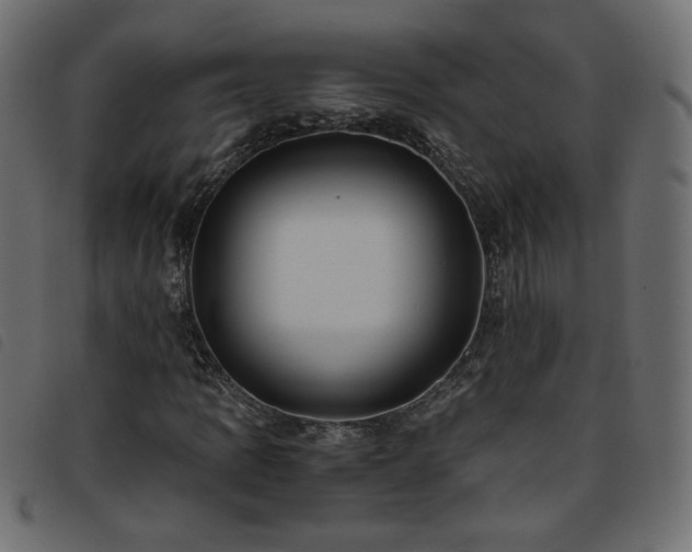 X0000093771109200710161236