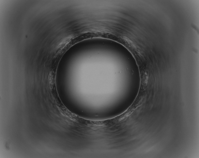 X0000093771110200710161236
