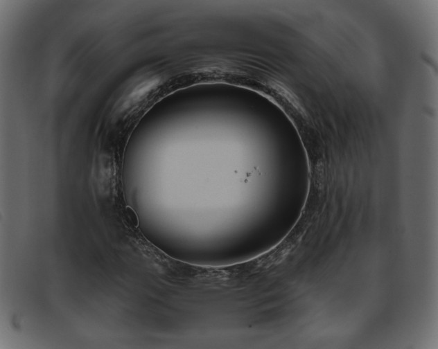 X0000093771111200710161236
