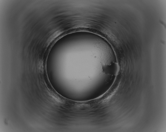 X0000093771113200710161237