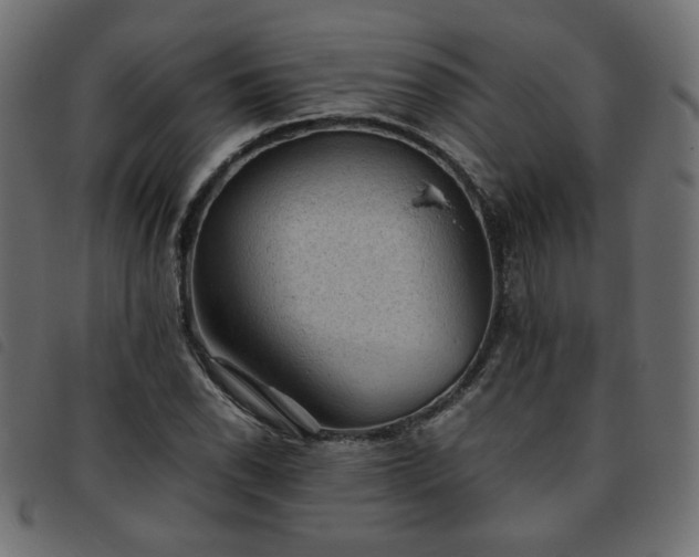 X0000093771118200710161237