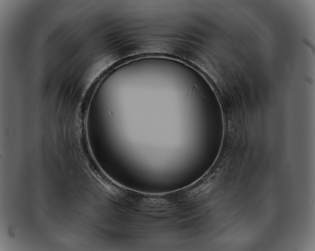 X0000093771119200710161237