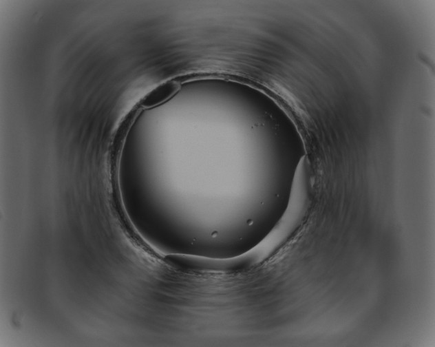 X0000093771120200710161237