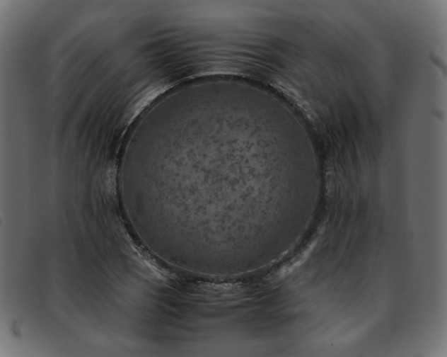 X0000093771121200710161237