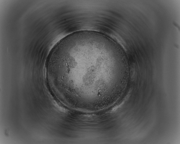 X0000093771125200710161237