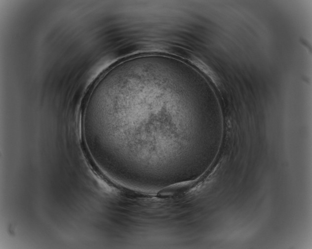 X0000093771127200710161237