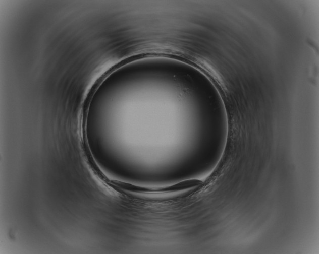 X0000093771128200710161237