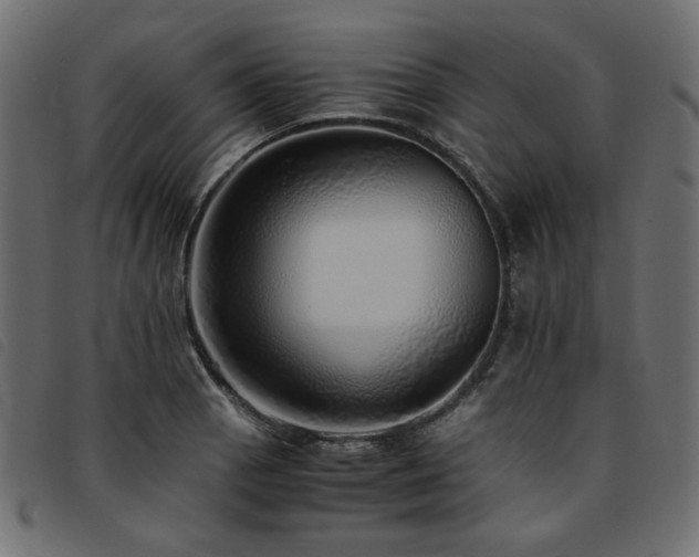 X0000093771129200710161237