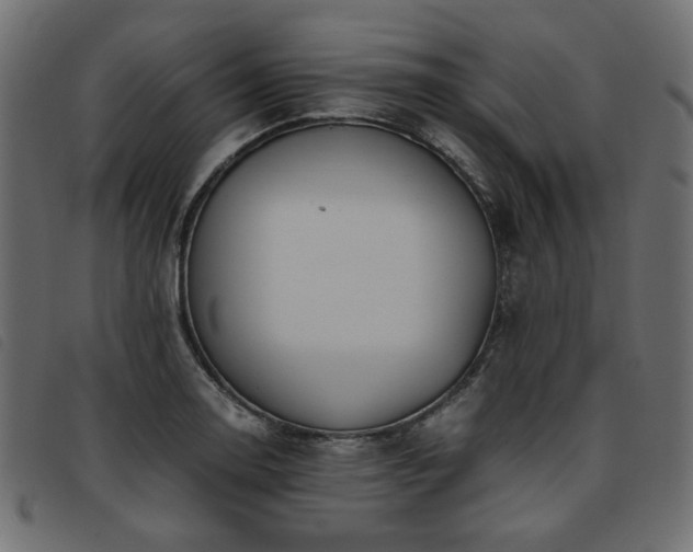 X0000093771130200710161237