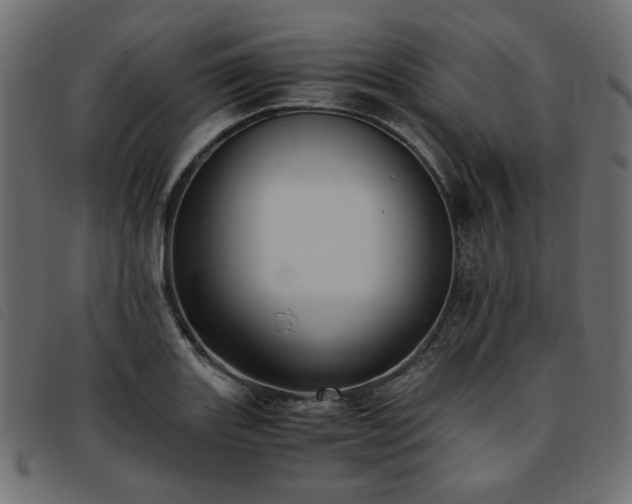 X0000093771131200710161237