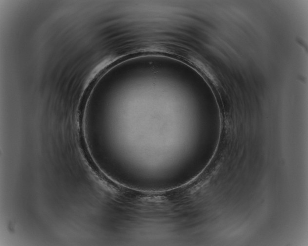 X0000093771133200710161237
