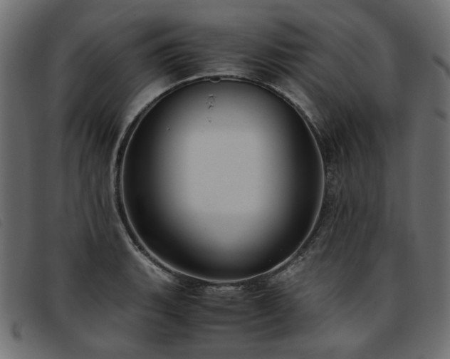 X0000093771135200710161237