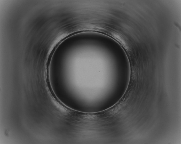 X0000093771136200710161237