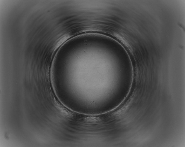 X0000093771137200710161237