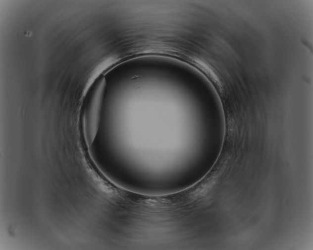 X0000093771138200710161237