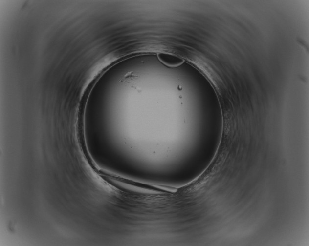 X0000093771139200710161237