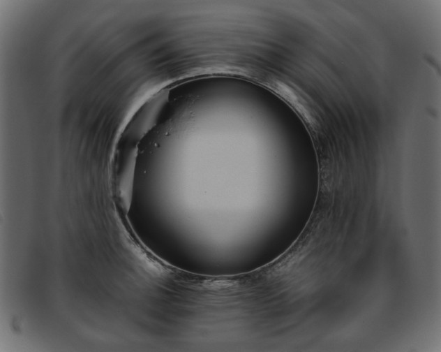 X0000093771140200710161237