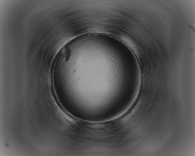 X0000093771141200710161237