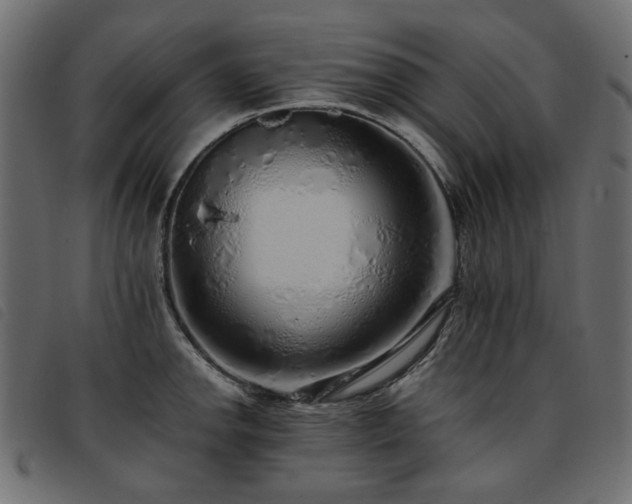 X0000093771142200710161237
