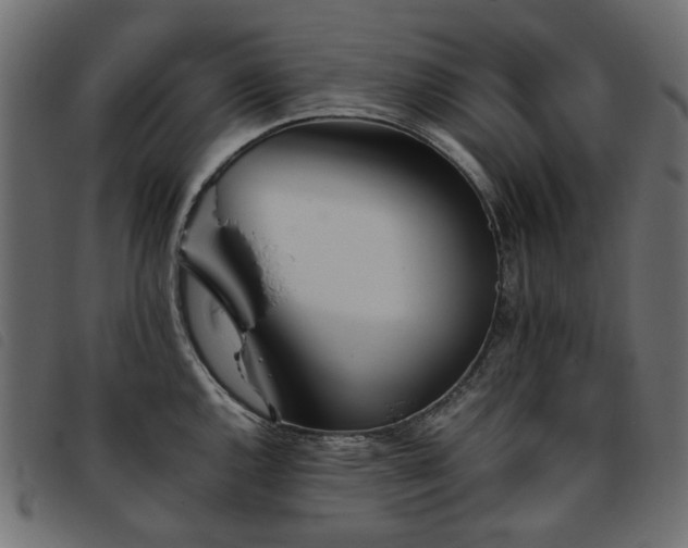 X0000093771144200710161237