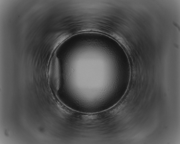 X0000093771145200710161237