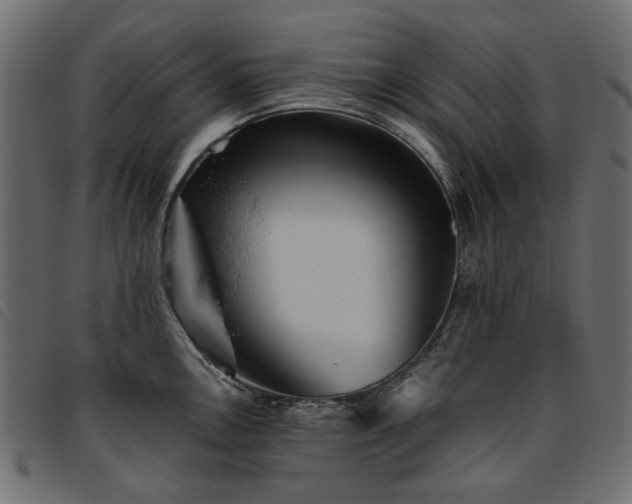 X0000093771146200710161237