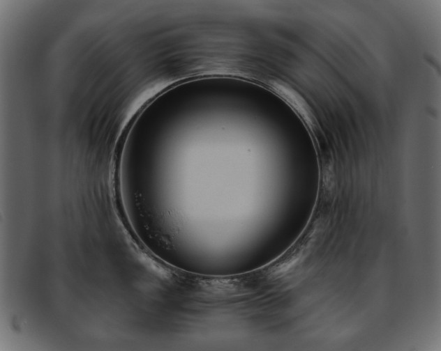 X0000093771149200710161237