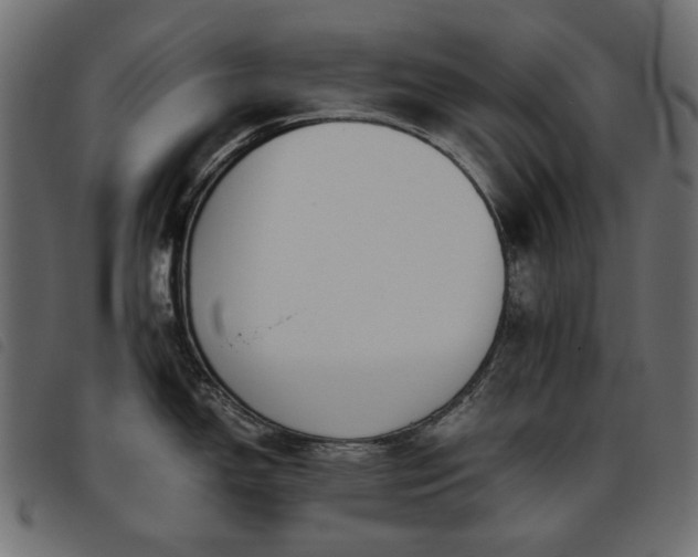 X0000093771150200710161237
