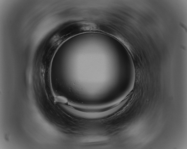 X0000093771151200710161237