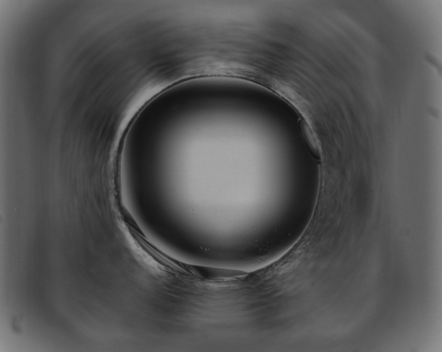 X0000093771152200710161237