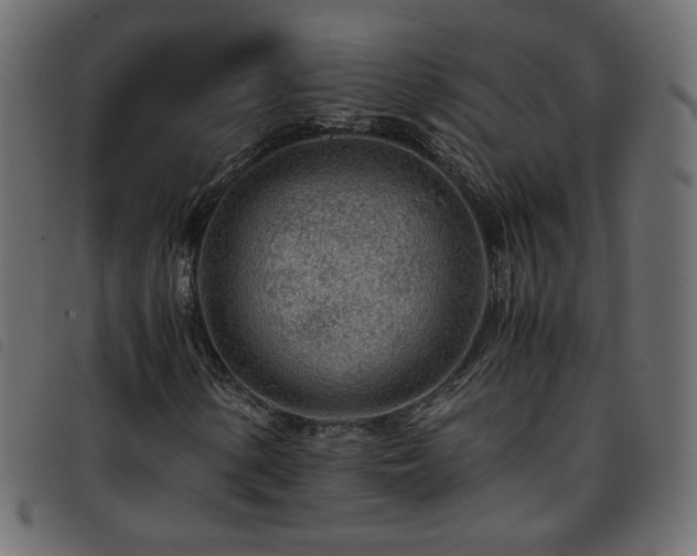 X0000093771154200710161236