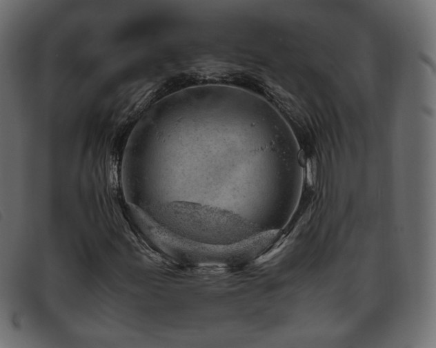 X0000093771155200710161236
