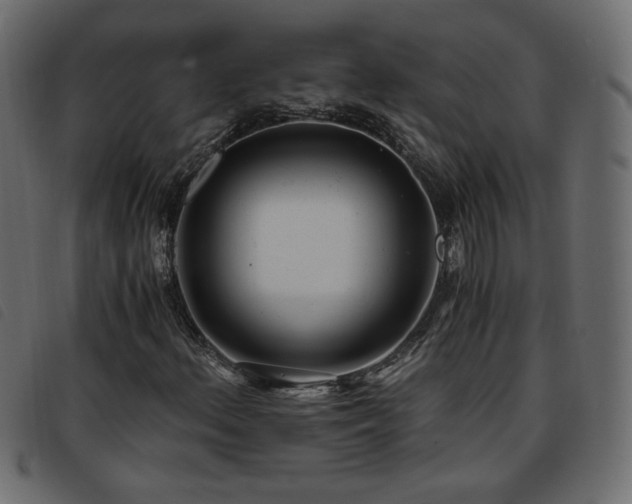 X0000093771156200710161236