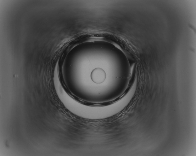 X0000093771157200710161236