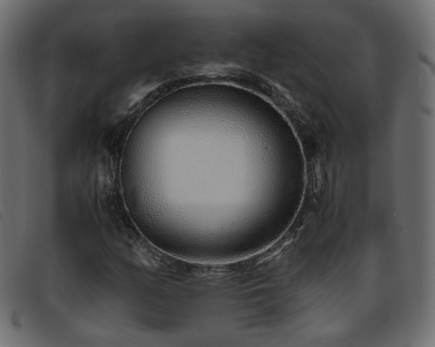 X0000093771158200710161236