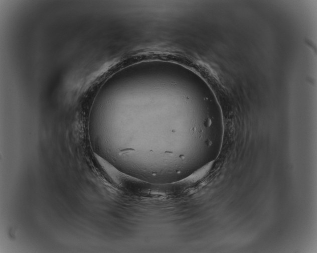 X0000093771159200710161236