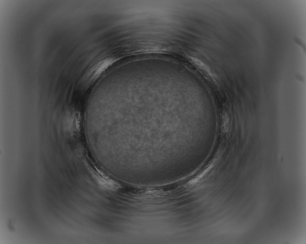X0000093771161200710161236