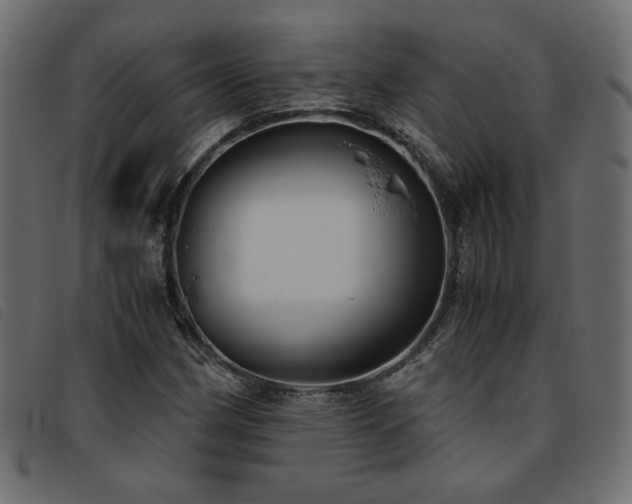 X0000093771162200710161236