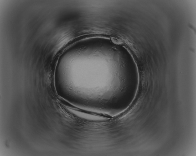 X0000093771163200710161236