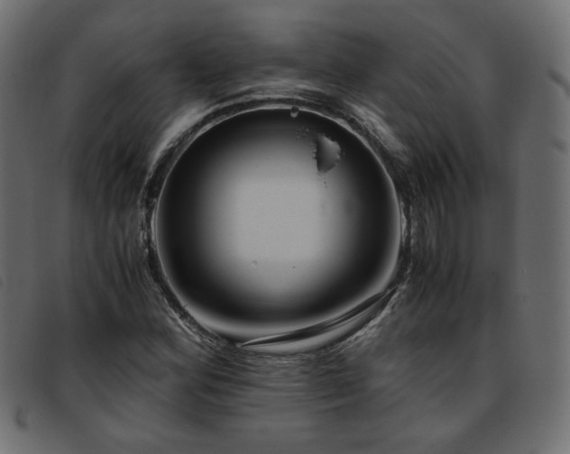 X0000093771164200710161236