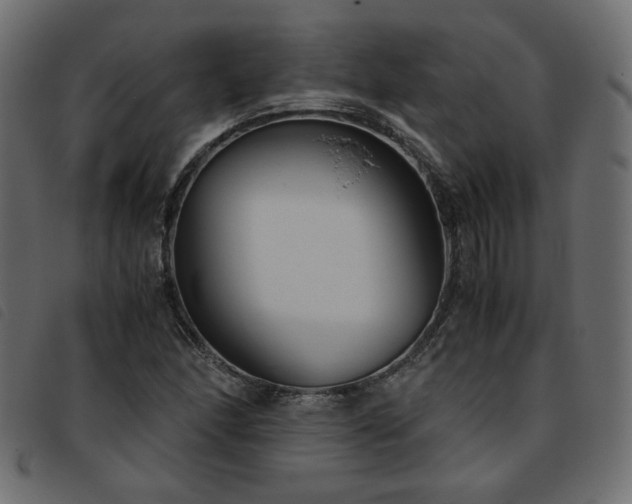 X0000093771166200710161236