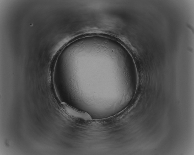 X0000093771167200710161236