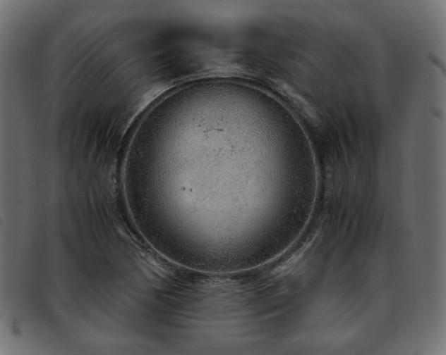 X0000093771170200710161236