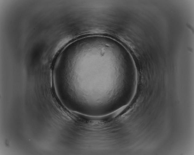 X0000093771171200710161236
