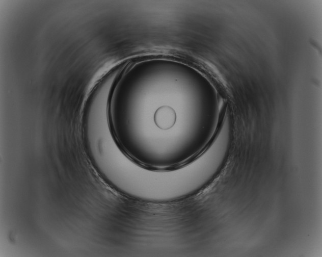 X0000093771172200710161236