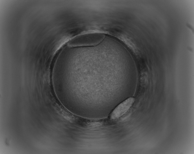 X0000093771173200710161236